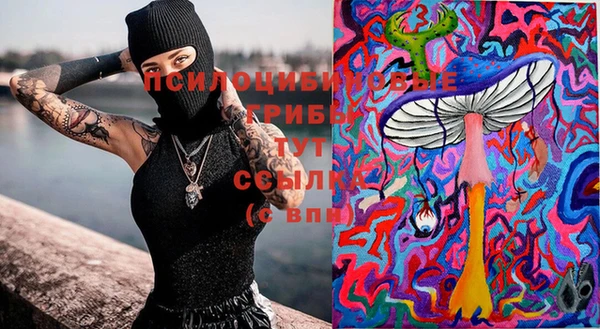 Альфа ПВП Алзамай