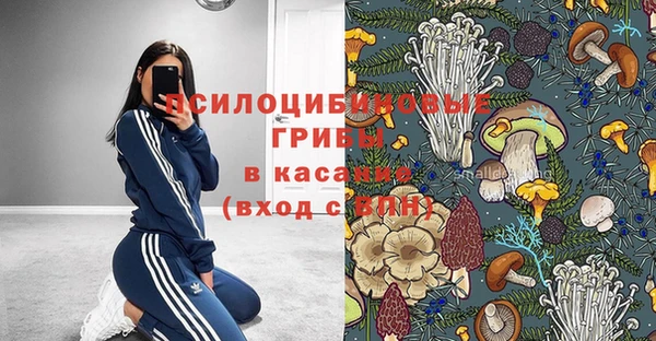 гидропоника Алексеевка