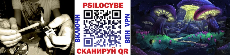 Галлюциногенные грибы прущие грибы  Балашиха 